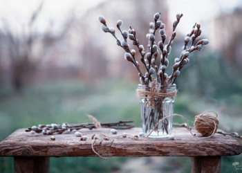 Чернігівські синоптики розповіли, якою буде погода в середу Чернігівські синоптики розповіли, якою буде погода в середу