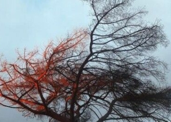 На Чернігівщину йде буревій На Чернігівщину йде буревій