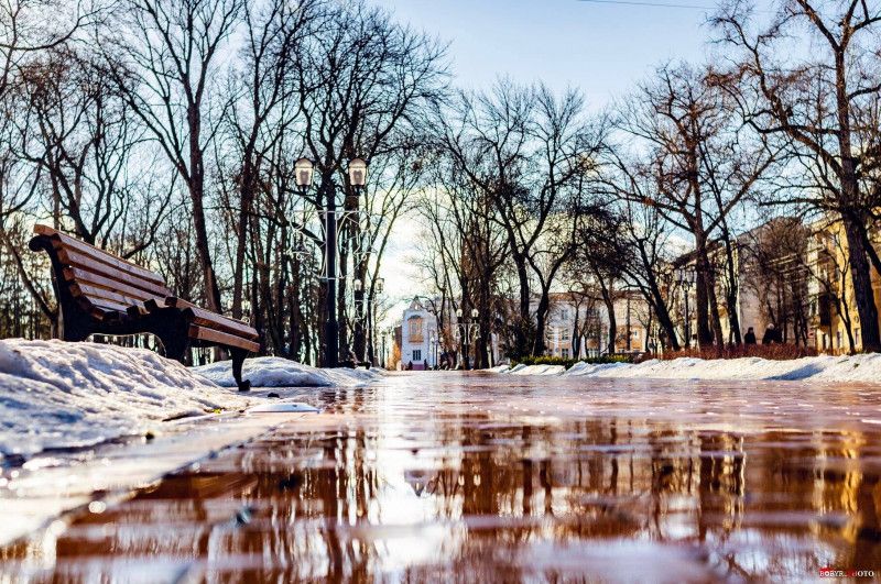 Свято Трьох Святих, негода на Чернігівщині та 20 шлюбів: підсумок суботніх новин