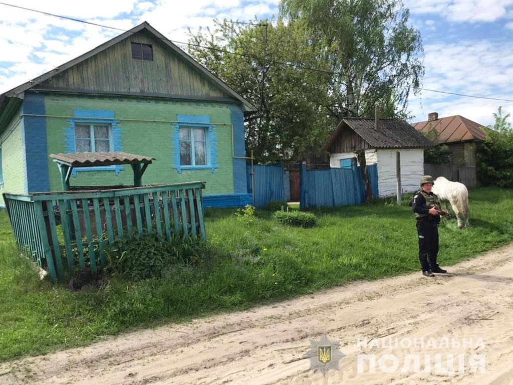 На Новгород-Сіверщині п’яні чоловіки напали на 73-річну сусідку. ФОТО