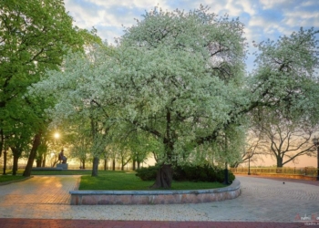 Ціни на квартири, школи Чернігова та пожежа на Центральному ринку: інфозвіт вівторка