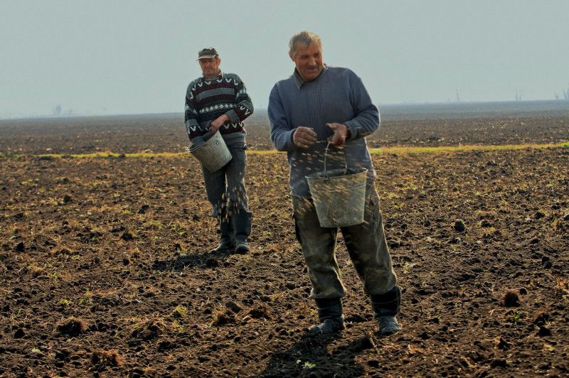 На Чернігівщині поблизу кордону з Білоруссю, попри загрози, триває посівна (Фото)