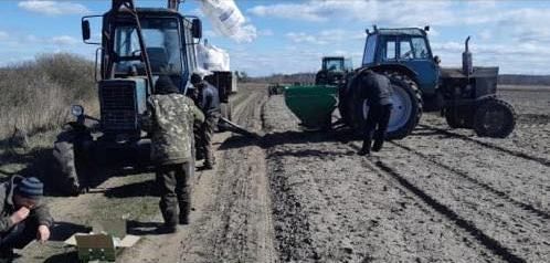 На Чернігівщині поблизу кордону з Білоруссю, попри загрози, триває посівна (Фото)