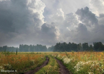 Смертельна пожежа, обстріл кордону та порятунок тварин: дайджест новин середи