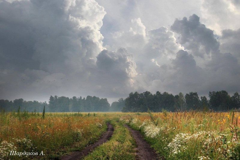 Смертельна пожежа, обстріл кордону та порятунок тварин: дайджест новин середи