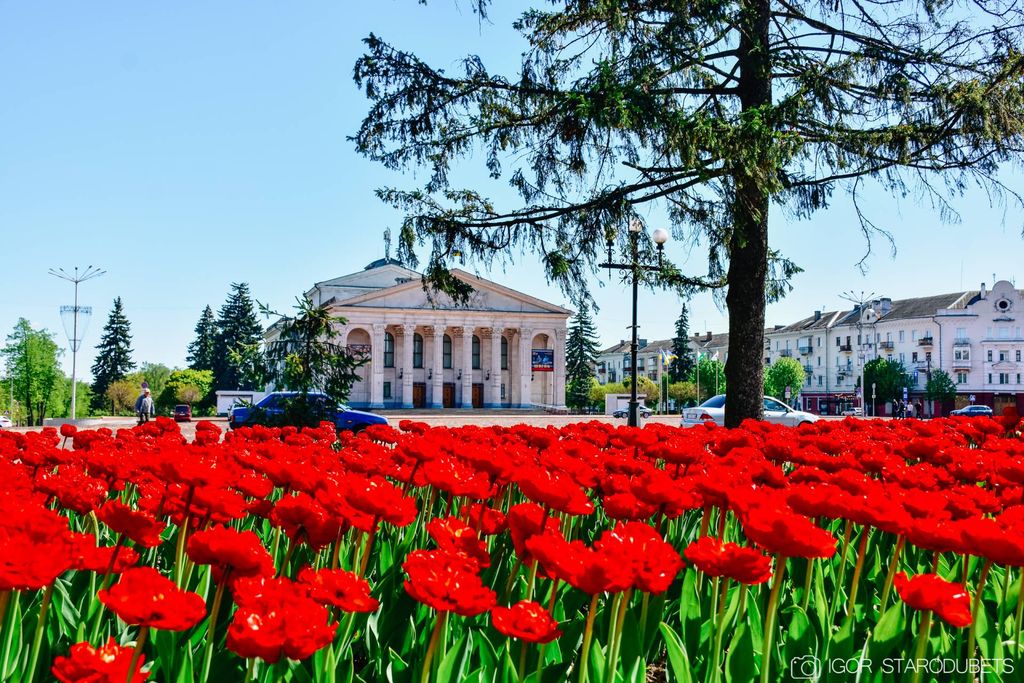 Травень квітує у Чернігові