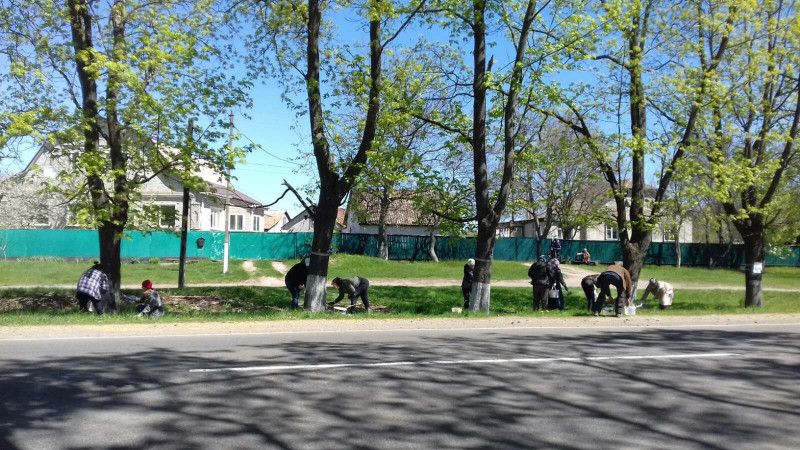 В громаді на Чернігівщині провели весняну толоку (Фото)