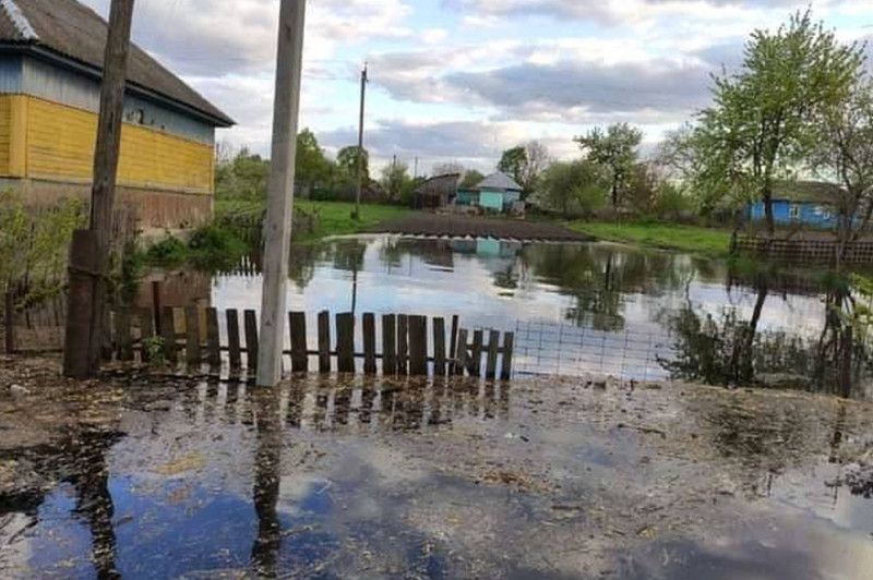 Затоплені будинки і дороги: коли велика вода на Чернігівщині піде на спад
