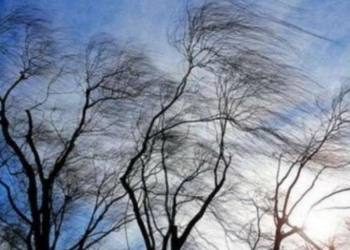 Буревій на Чернігівщині пошкодив дахи в музеї, будинку культури та пожежному депо Буревій на Чернігівщині пошкодив дахи в музеї, будинку культури та пожежному депо