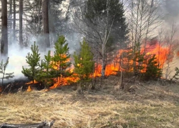 Через ворожі обстріли біля села на прикордонні Чернігівщини трапилася пожежа
