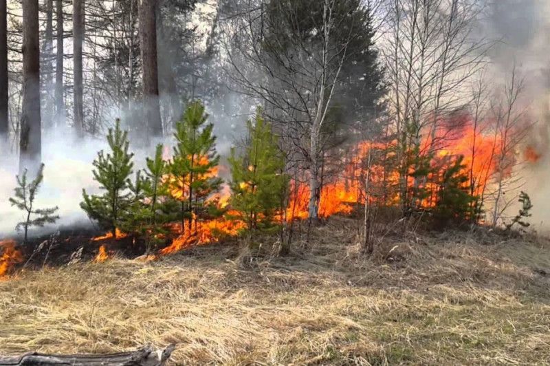 Через ворожі обстріли біля села на прикордонні Чернігівщини трапилася пожежа