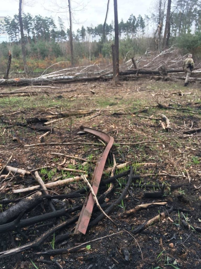 Російські бомбардування та обстріли завдали шкоди лісам Чернігівщини на суму понад 3 мільярди гривень
