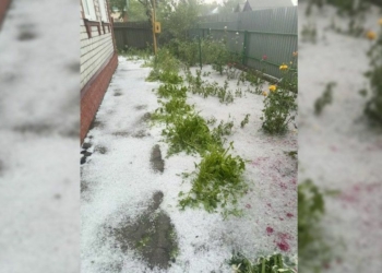 На Чернігівщині випав град розміром до 7 сантиметрів (Фото) На Чернігівщині випав град розміром до 7 сантиметрів (Фото)