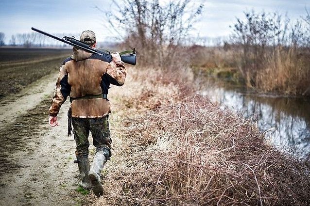 На Чернігівщині заборонили всі види полювання