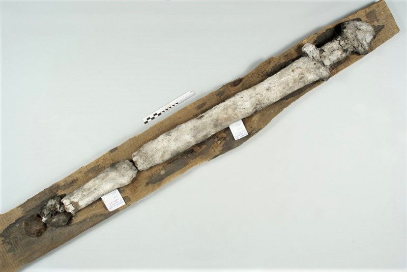 П’ять стародавніх мечів – гордість Чернігівського історичного музею імені В. Тарновського
