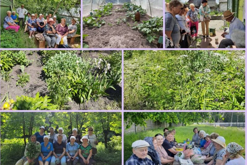«Сад. Город»: пенсіонери Чернігівщини вивчають новинки городництва