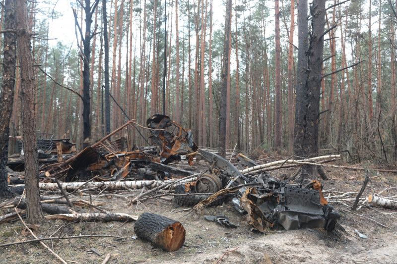 Сотні гектарів замінованих лісів і згарища: сліди «руського міра» на Чернігівщині