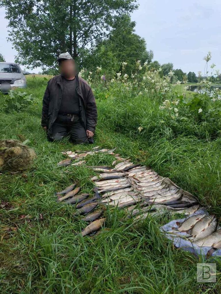Рибалка з Бахмаччини наловив незаконно риби на понад 270 тисяч гривень