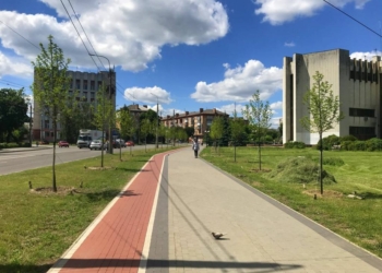 Озеленення Чернігова: 51 дерево магнолії, які за власні кошти придбав для міста Владислав Атрошенко, прижилися