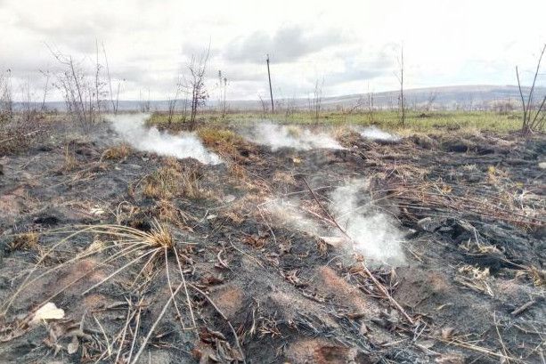 Пожежа на торфовищі біля Чернігова ліквідована