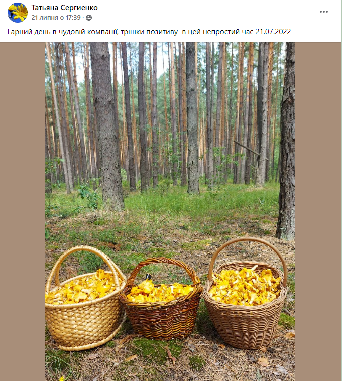 Ризиковане «тихе полювання»: грибники Чернігівщини штурмують ліси
