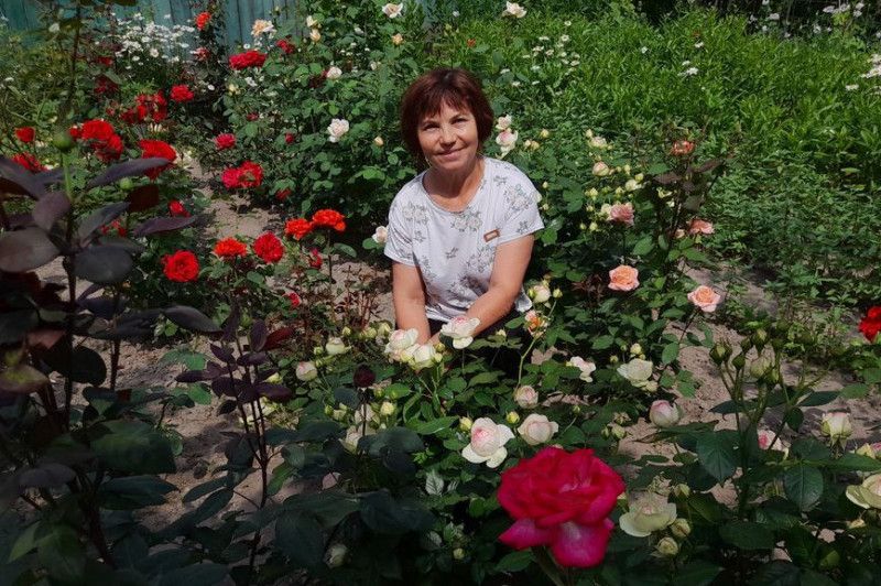 Трояндове щастя фермерської родини з півночі Чернігівщини