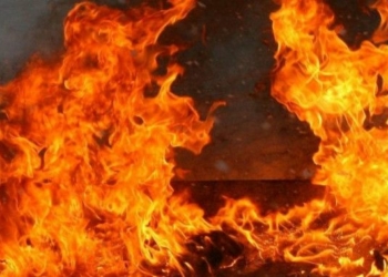 У Михайло-Коцюбинському трапилася пожежа житлового будинку