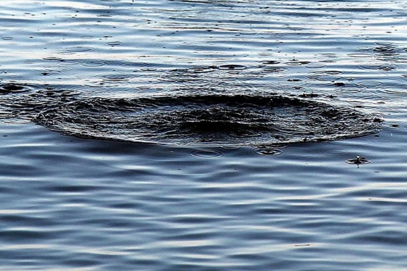 В озері біля Брусилова потонув чоловік
