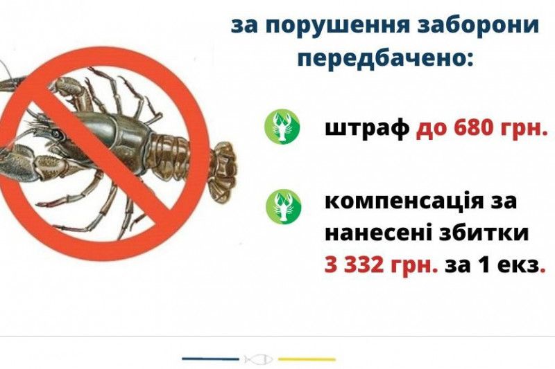 З 1 серпня 2022 року на Чернігівщині починається заборона на вилов раків