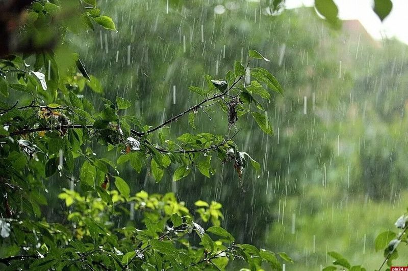 На вихідних синоптики Чернігівщини обіцяють дощі