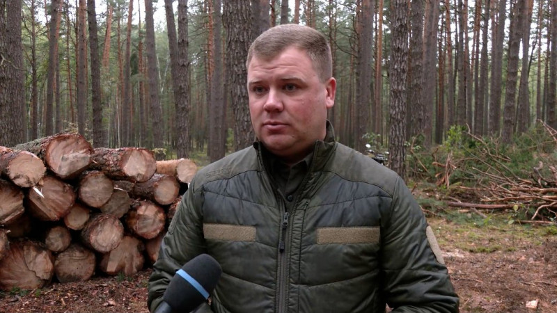 Виріс попит та черги на дрова: як на Чернігівщині люди готуються до холодів