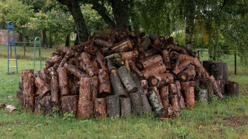 Заготували 60-90% дров на наступний опалювальний сезон для шкіл Коропської громади