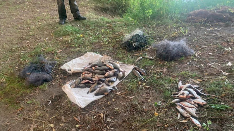 110 рибин та шкода на понад 176 тисяч гривень: на Чернігівщині рибалці повідомили про підозру