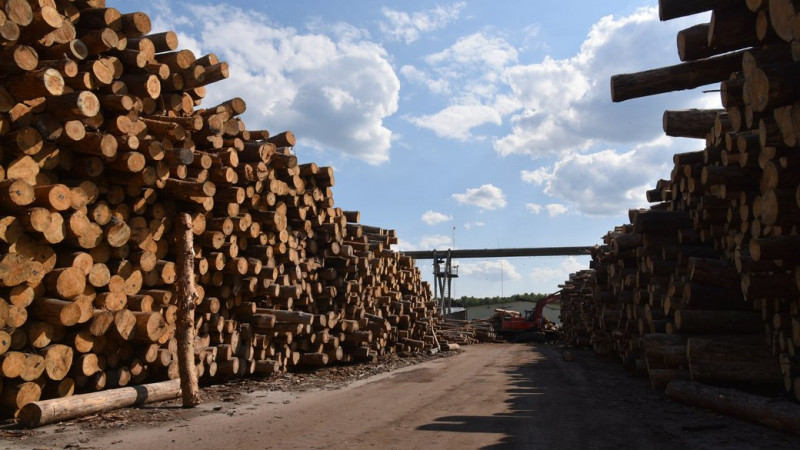 Найдешевші дрова – на Чернігівщині, – Болоховець