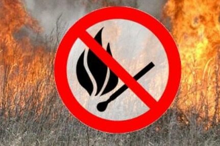 Чернігівська область: рятувальники ліквідували чотири загоряння сухої рослинності