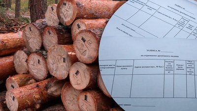 Безкоштовні дрова для жителів прифронтових територій: хто їх може отримати на Чернігівщині