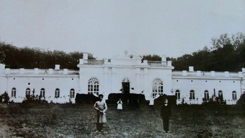 Палац Тарновських у Качанівці: велич крізь віки