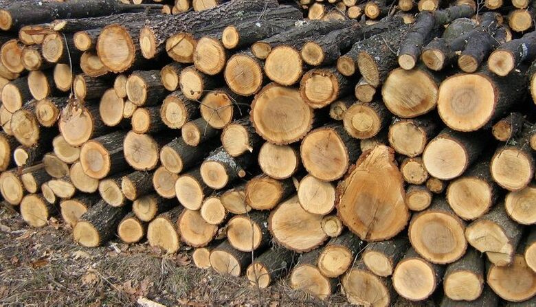 Багатодітні родини Городнянської громади зможуть отримати безкоштовні дрова