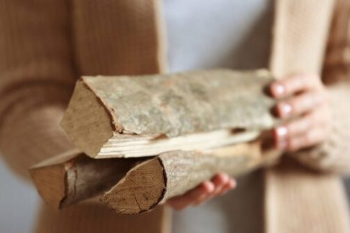 Безкоштовні дрова на Чернігівщині передбачені не для всіх