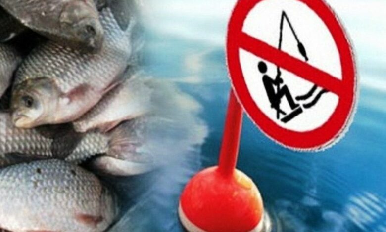 На Чернігівщині діятиме заборона на вилов риби в зимувальних ямах