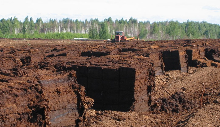 На Чернігівщині столичні ділки незаконно видобули 16 тисяч тонн торфу
