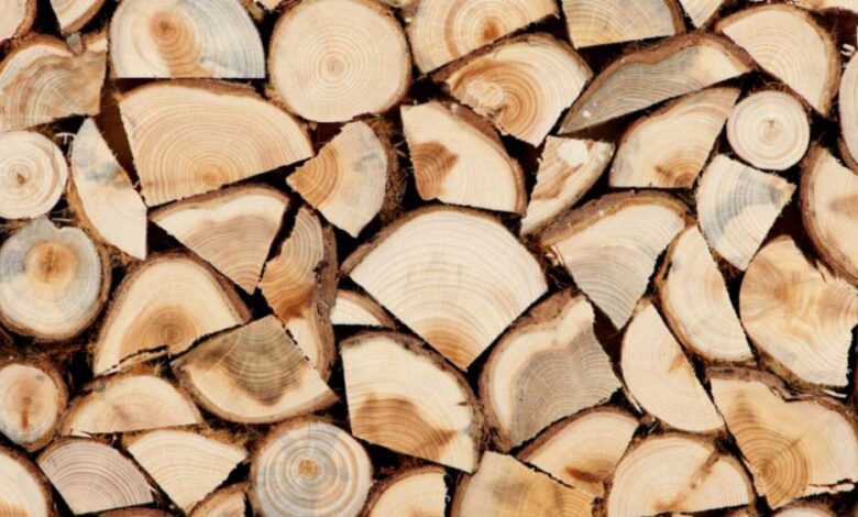 Стало відомо чи будуть безкоштовні дрова для північних громад Чернігівщини