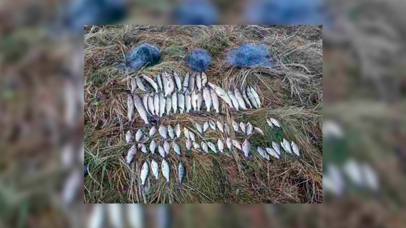 Збитків на 180 тисяч гривень: на Менщині затримали чоловіка, який сітками ловив рибу