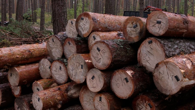Безкоштовні дрова не для всіх: які категорії населення не можуть отримати дрова в Новгород-Сіверській громаді