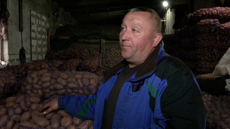 Саджають менше та навіть викидають: фермери з Новгород-Сіверщини скаржаться на низький попит на картоплю