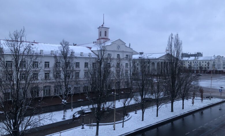 На Чернігівщині випав перший сніг (Фото)