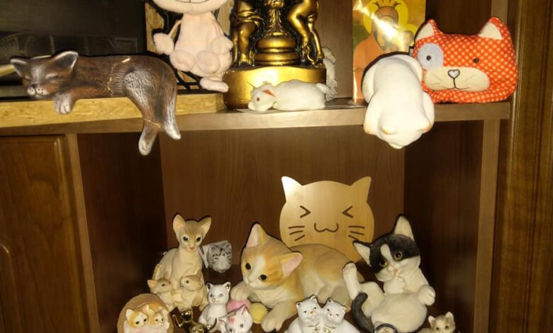 Скарбнички, прикраси, брелоки, значки: чернігівка назбирала колекцію котів (Фото)