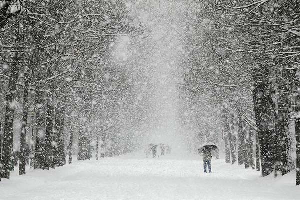 Вируватиме потужний сніжний циклон: прогноз синоптика