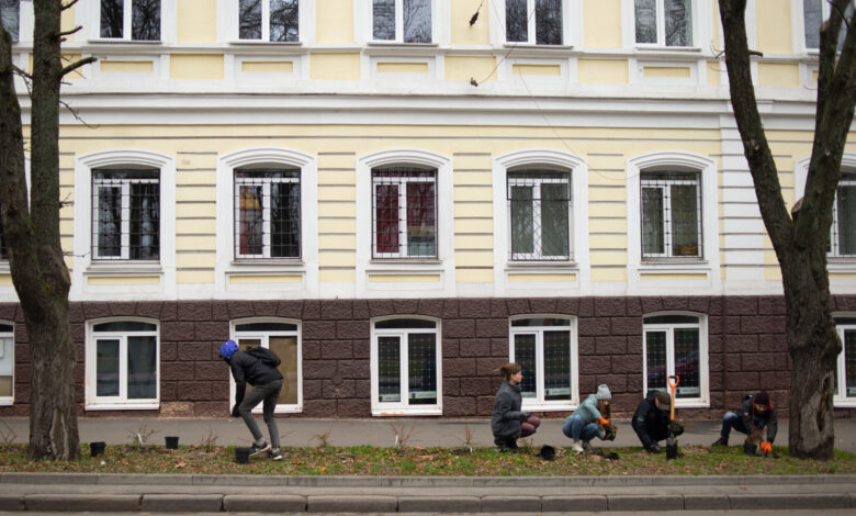 Жива огорожа: на одній із вулиць Чернігова висадили кизильник (Фото)