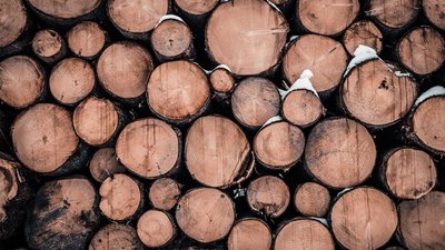72% домогосподарств прикордонних громад Чернігівщини вже отримали безкоштовні дрова для опалення